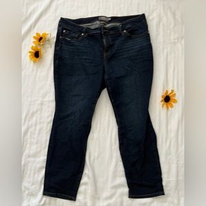 Torrid Mid-Rise Skinny Jeans